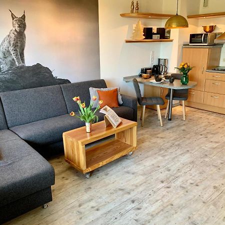 Luchsbutze Apartment Sankt Andreasberg Luaran gambar