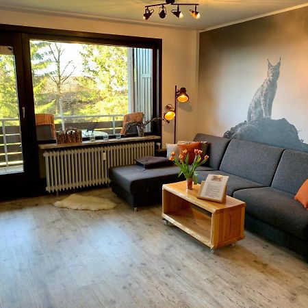 Luchsbutze Apartment Sankt Andreasberg Luaran gambar