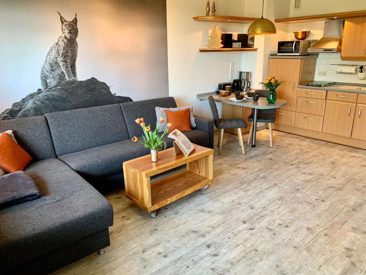 Luchsbutze Apartment Sankt Andreasberg Luaran gambar