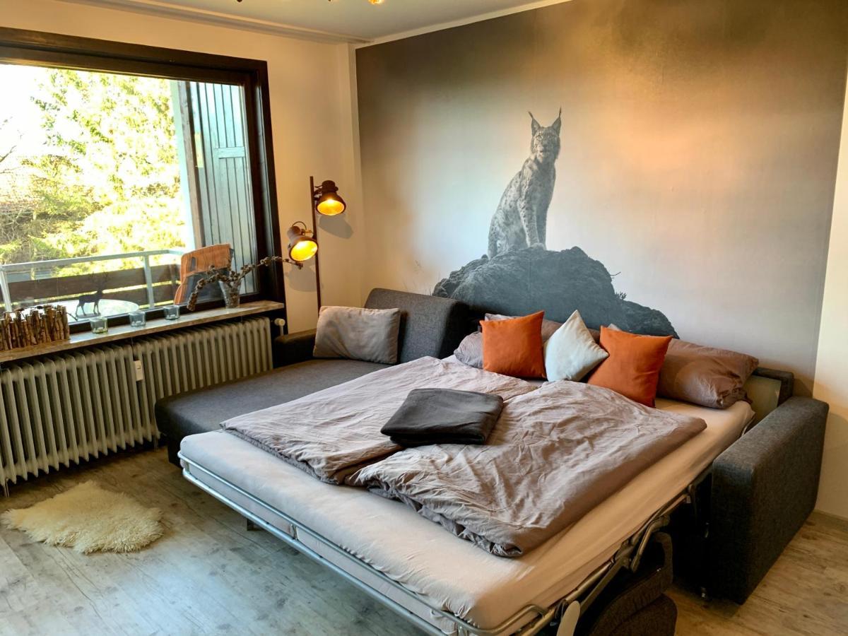 Luchsbutze Apartment Sankt Andreasberg Luaran gambar