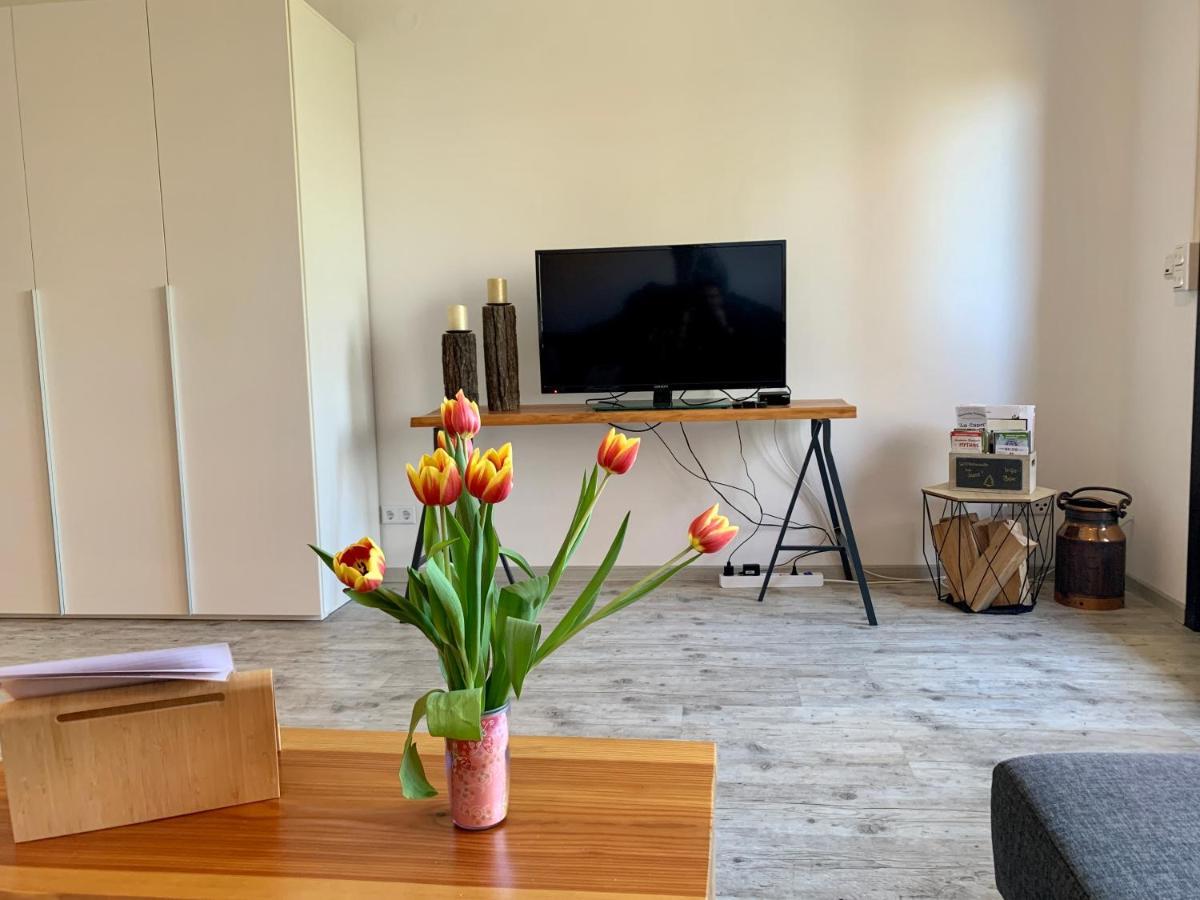 Luchsbutze Apartment Sankt Andreasberg Luaran gambar