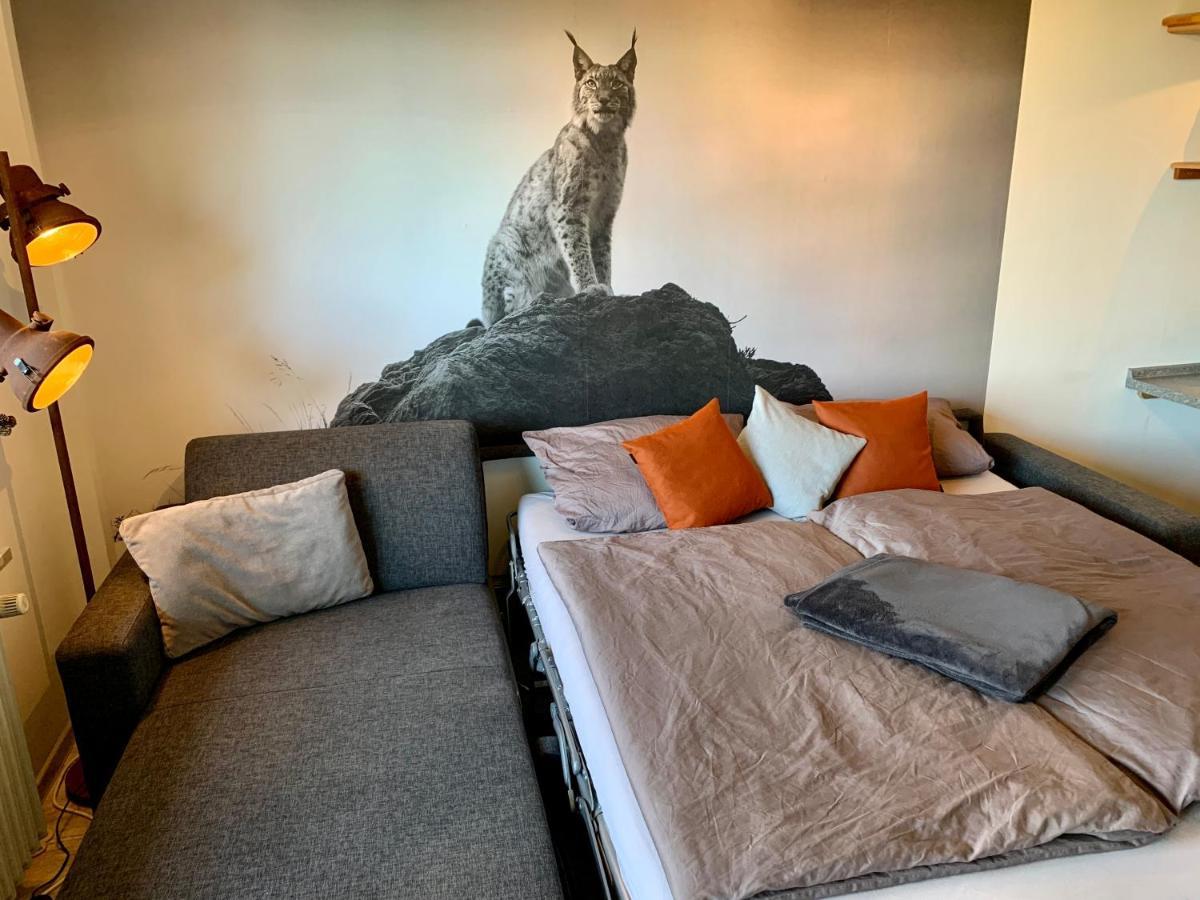 Luchsbutze Apartment Sankt Andreasberg Luaran gambar