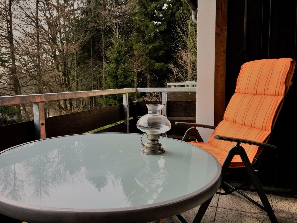 Luchsbutze Apartment Sankt Andreasberg Luaran gambar