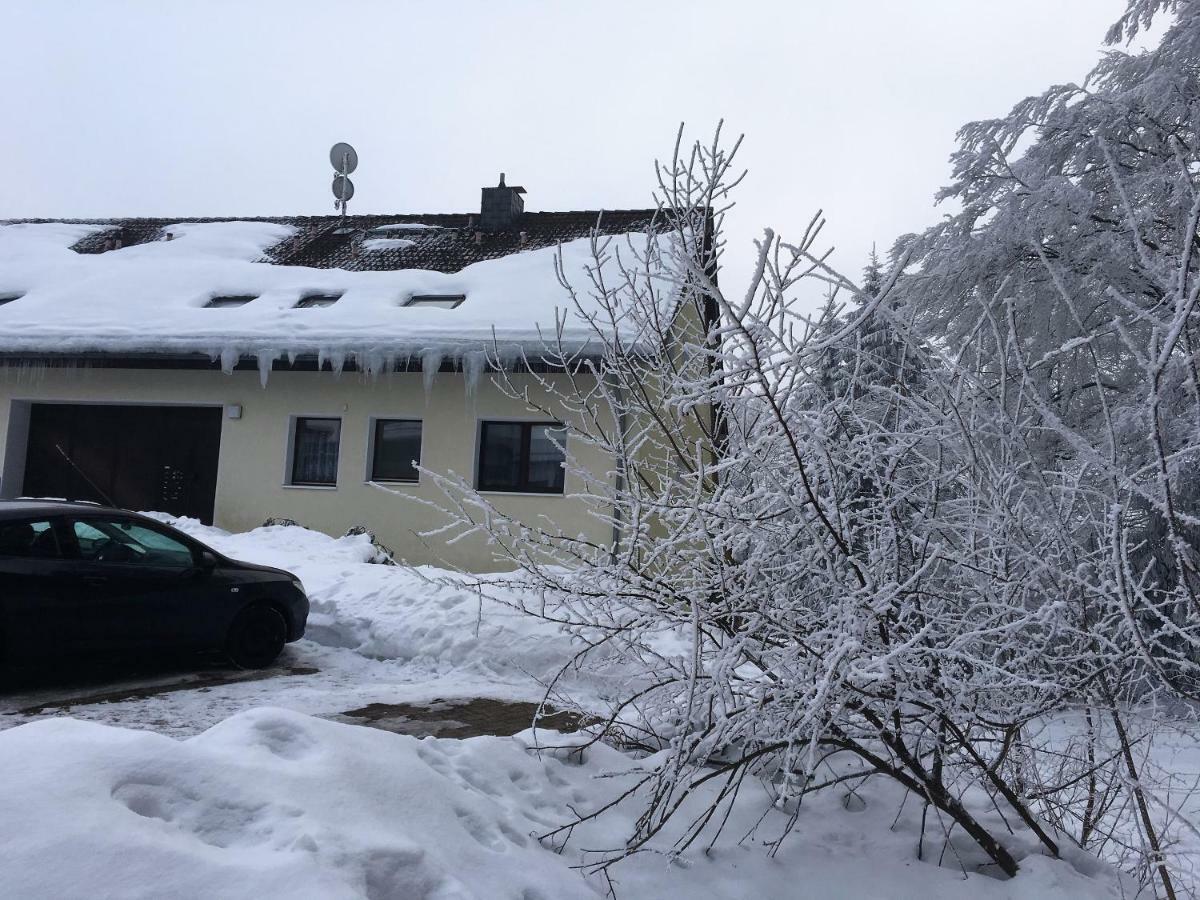 Luchsbutze Apartment Sankt Andreasberg Luaran gambar