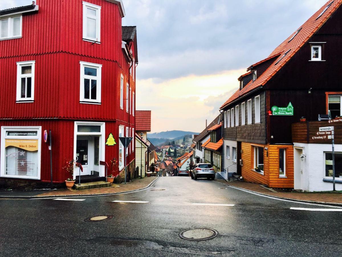 Luchsbutze Apartment Sankt Andreasberg Luaran gambar